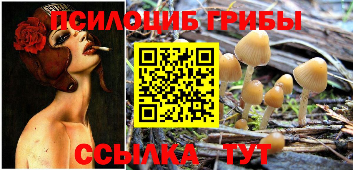 Щёлково  Галлюциногенные грибы Psilocybe  цены наркотик  Вход с VPN 