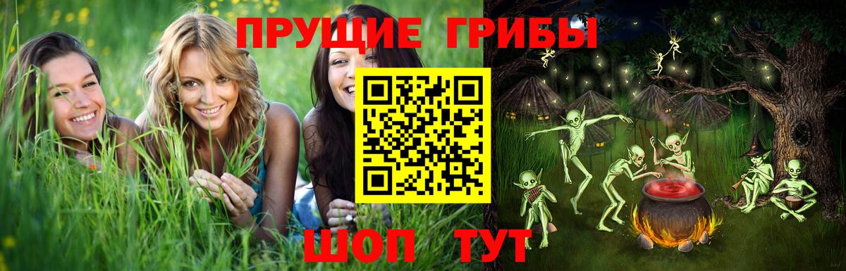 Галлюциногенные грибы MAGIC MUSHROOMS Щёлково